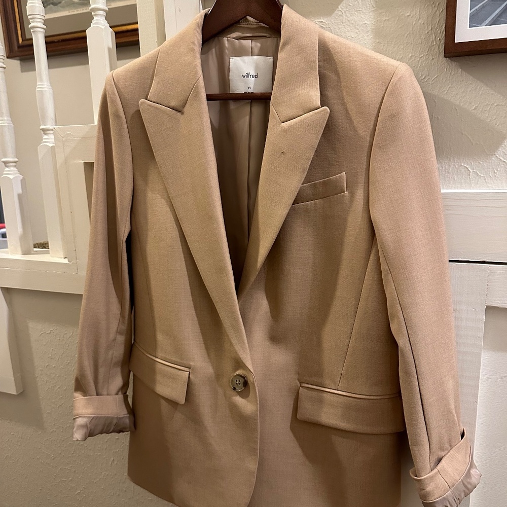 Wilfred Blazer (Size XS - from Aritzia)